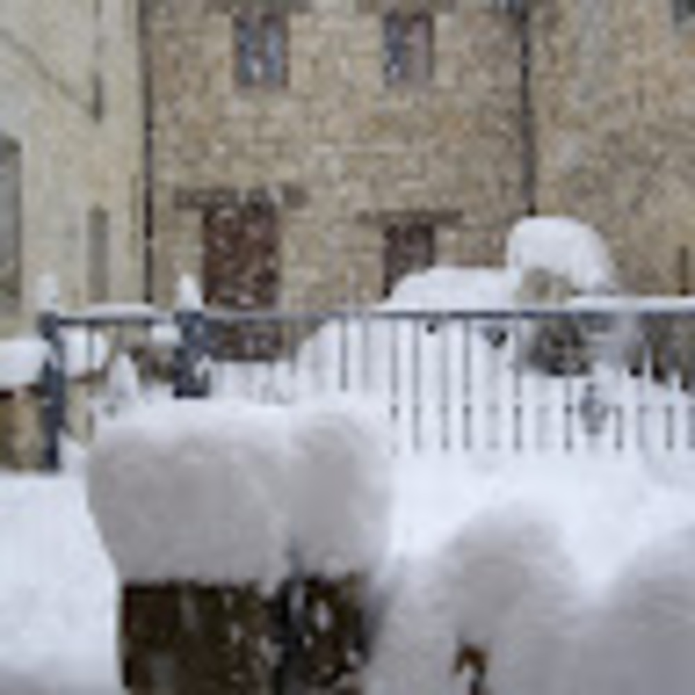 Meet your Posher, Icrespo